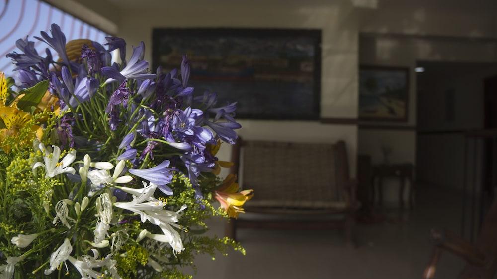 Hotel Luis V Σάντο Ντομίγκο Εξωτερικό φωτογραφία